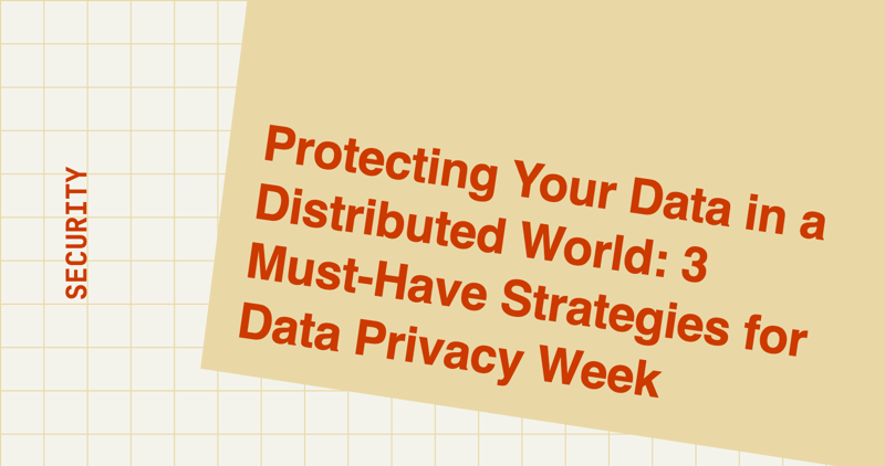 Protecting Your Data in a Distributed World: 3 Must-Have Strategies for Data Privacy Week