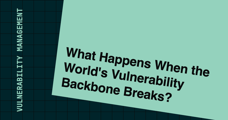 What Happens When the World's Vulnerability Backbone Breaks?
