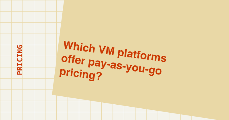 Which Vulnerability Management Platforms Offer Pay-As-You-Go Pricing?