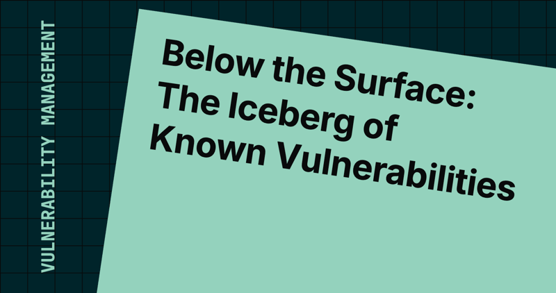 Below the Surface: The Iceberg of Known Vulnerabilities